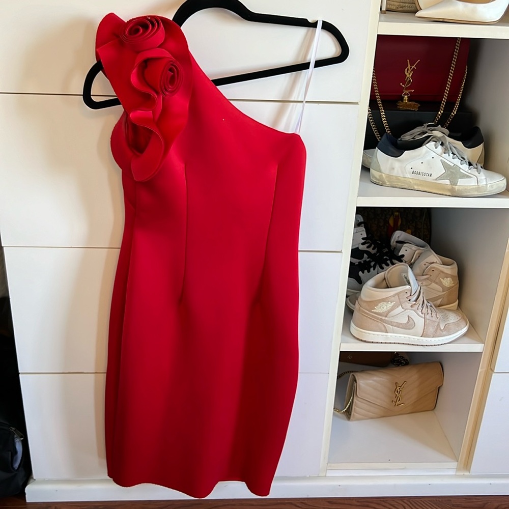 Red dress with roses